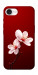 Чехол Sakura red для iPhone 16e