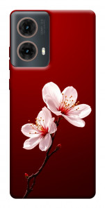 Чехол Sakura red для Motorola Moto G85