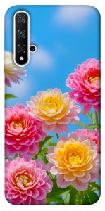 Чехол Summer day для Huawei Nova 5T