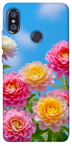 Чохол Summer day для Xiaomi Redmi Note 5 (DC)