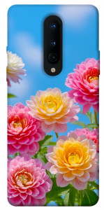 Чохол Summer day для OnePlus 8