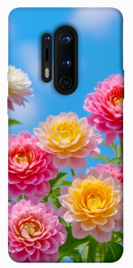 Чехол Summer day для OnePlus 8 Pro