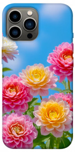 Чохол Summer day для iPhone 13 Pro Max