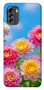 Чохол Summer day для Nokia G60