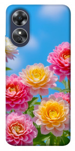 Чехол Summer day для Oppo A17