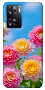 Чехол Summer day для Oppo A77s