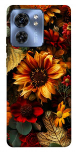 Чехол Autumn vibe для Motorola Edge 40