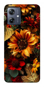 Чехол Autumn vibe для Motorola Moto G54