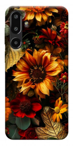 Чохол Autumn vibe для Galaxy F16 5G