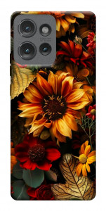Чохол Autumn vibe для Motorola Edge 50