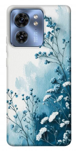 Чехол Blue minimal для Motorola Edge 40