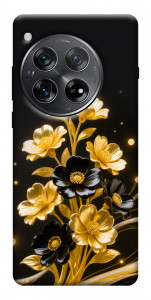 Чехол Golden shine для OnePlus 12