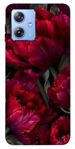 Чехол Passion flower для Motorola Moto G84