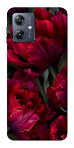 Чехол Passion flower для Motorola Moto G54