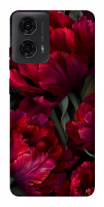 Чехол Passion flower для Motorola Moto G24