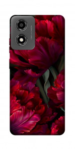 Чехол Passion flower для Motorola Moto E14