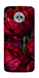 Чохол Passion flower для Motorola Moto G6 Plus