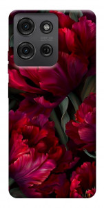Чехол Passion flower для Motorola Moto G75 5G