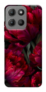 Чехол Passion flower для Motorola Moto G15 4G