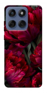 Чохол Passion flower для Motorola Edge 60 Fusion