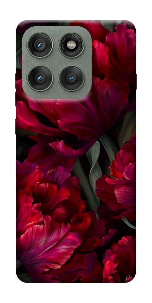 Чехол Passion flower для Motorola Edge 60 Pro