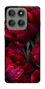 Чохол Passion flower для Motorola Edge 60 Pro