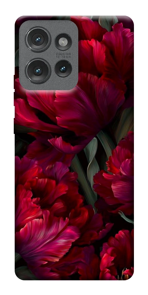 Чехол Passion flower для Motorola Edge 50
