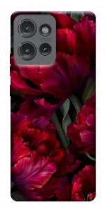 Чохол Passion flower для Motorola Edge 50