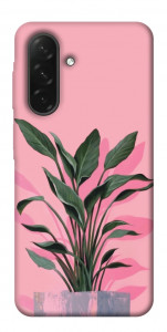Чехол Pink plant для Galaxy A26 5G