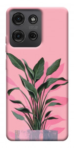 Чехол Pink plant для Motorola Moto G75 5G