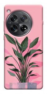 Чехол Pink plant для OnePlus 12