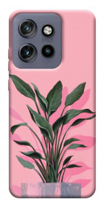 Чохол Pink plant для Motorola Edge 50 Neo