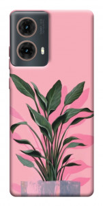 Чехол Pink plant для Motorola Moto G85