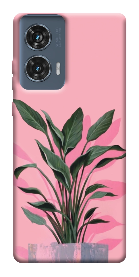 Чехол Pink plant для Motorola Edge 50 Fusion