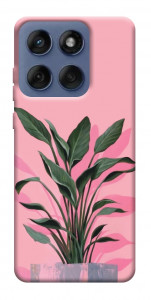Чохол Pink plant для Motorola Edge 60 Fusion
