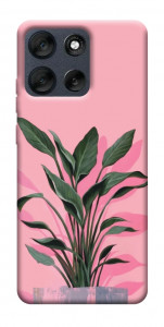 Чехол Pink plant для Motorola Moto G56 5G
