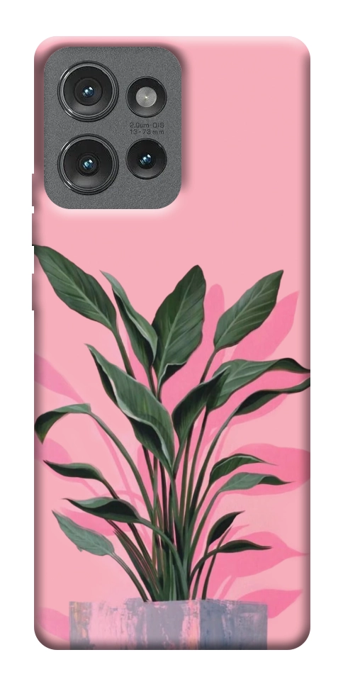 Чехол Pink plant для Motorola Edge 50