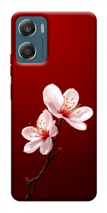 Чехол Sakura red для Motorola Moto G06