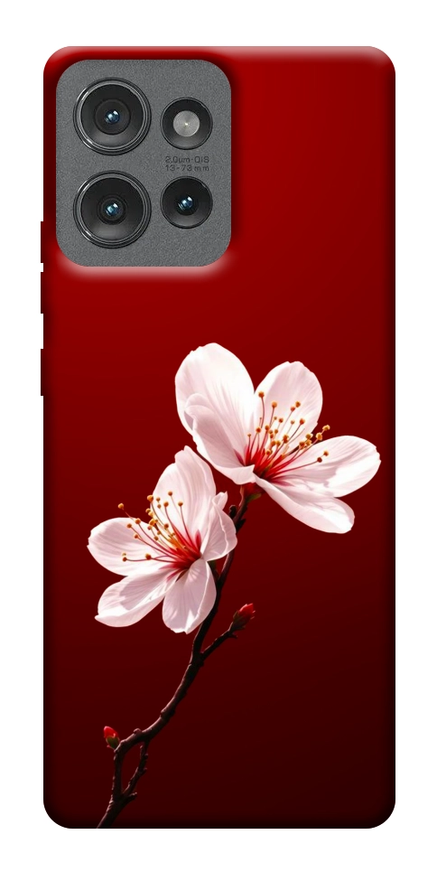 Чохол Sakura red для Motorola Edge 50