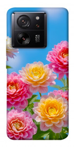 Чехол Summer day для Xiaomi 13T
