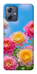 Чехол Summer day для Motorola Moto G54