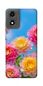 Чехол Summer day для Motorola Moto E14