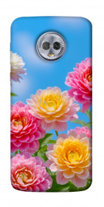 Чохол Summer day для Motorola Moto G6 Plus