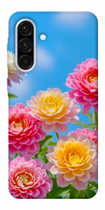Чохол Summer day для Galaxy A56 5G