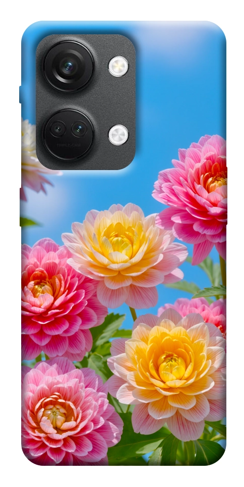 Чехол Summer day для OnePlus Nord 3