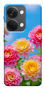 Чохол Summer day для OnePlus Nord 3