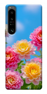 Чехол Summer day для Sony Xperia 1 IV