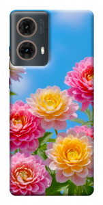 Чехол Summer day для Motorola Moto G85