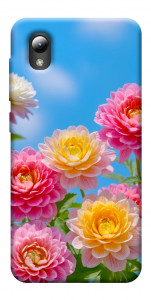 Чохол Summer day для ZTE Blade A3 (2019)