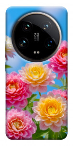 Чохол Summer day для Xiaomi 14 Ultra